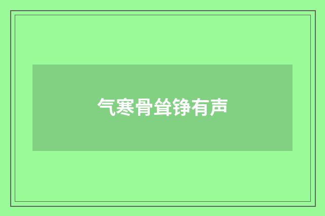 气寒骨耸铮有声