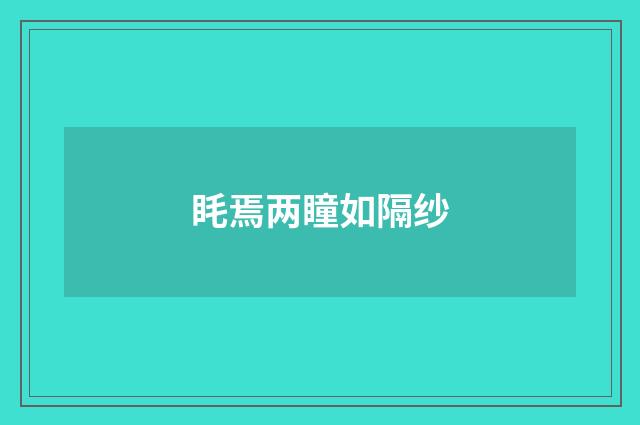 眊焉两瞳如隔纱