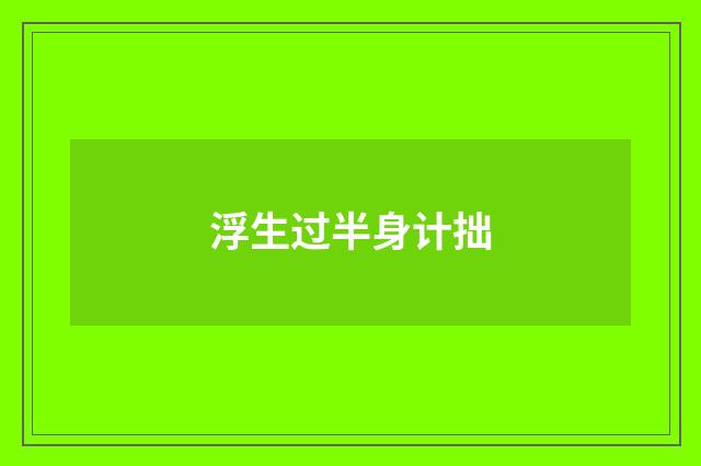 浮生过半身计拙