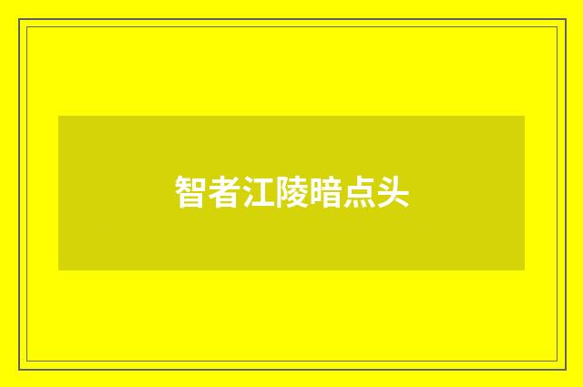 智者江陵暗点头
