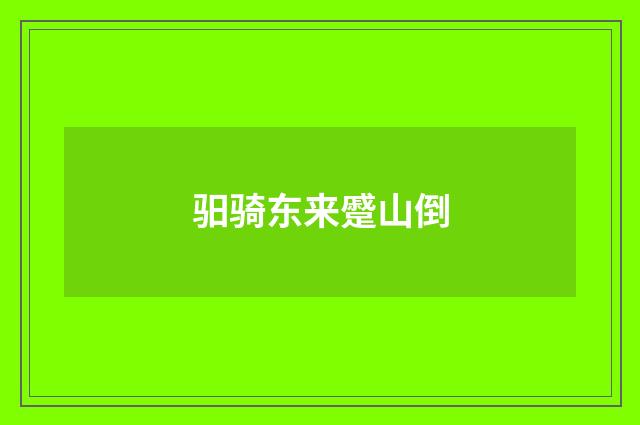 驲骑东来蹙山倒