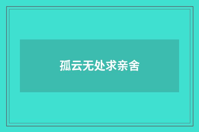 孤云无处求亲舍