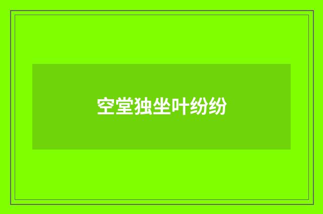 空堂独坐叶纷纷