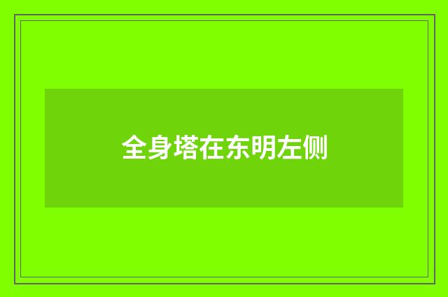 全身塔在东明左侧