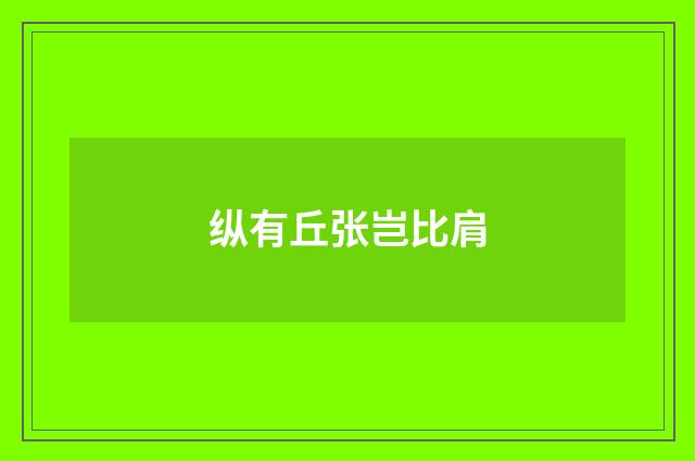 纵有丘张岂比肩