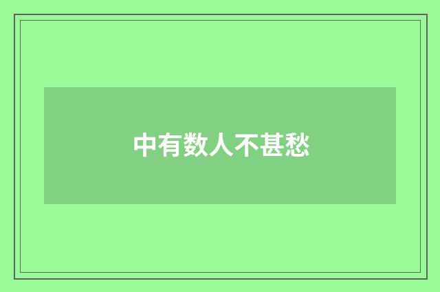 中有数人不甚愁