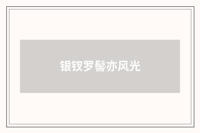 银钗罗髻亦风光