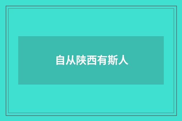 自从陕西有斯人