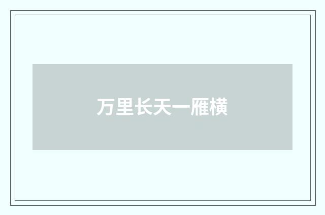 万里长天一雁横