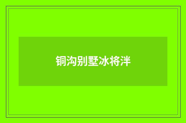 铜沟别墅冰将泮