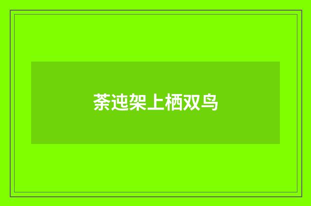 荼迍架上栖双鸟