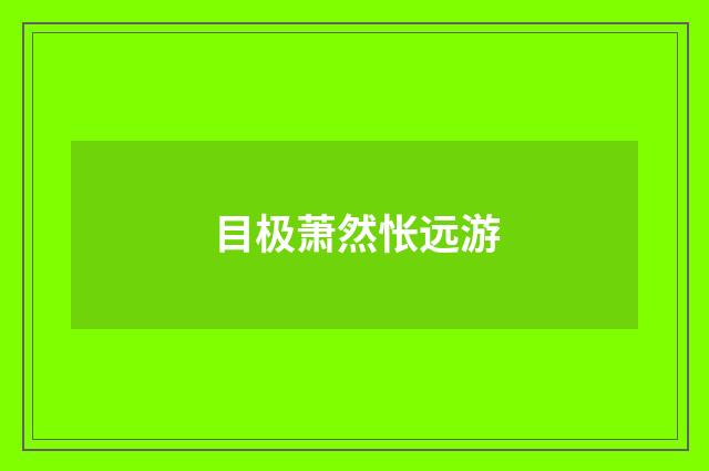 目极萧然怅远游