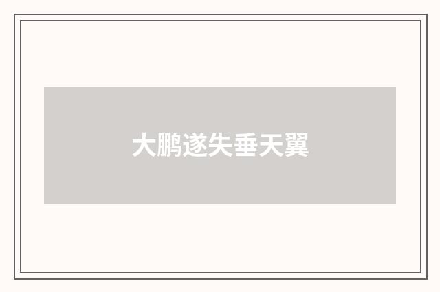 大鹏遂失垂天翼