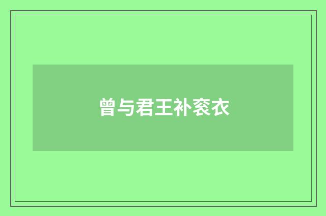 曾与君王补衮衣