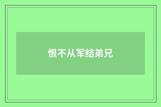 恨不从军结弟兄