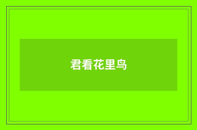 君看花里鸟
