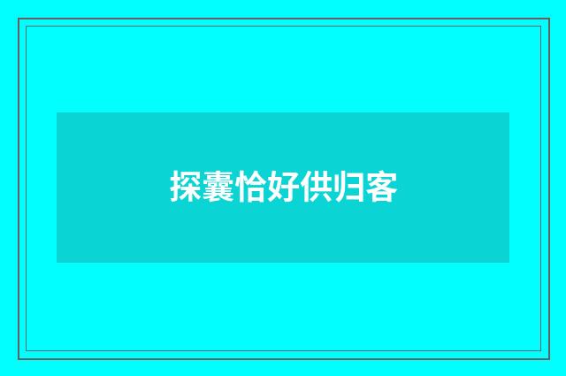 探囊恰好供归客
