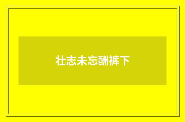 壮志未忘酬裤下