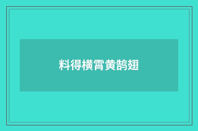 料得横霄黄鹄翅