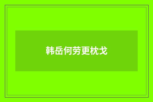 韩岳何劳更枕戈