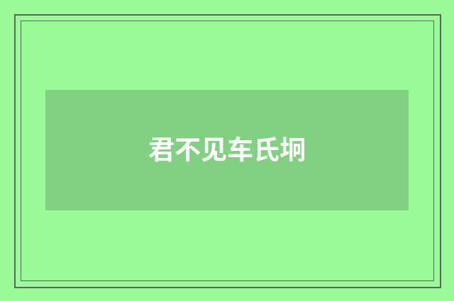 君不见车氏坰