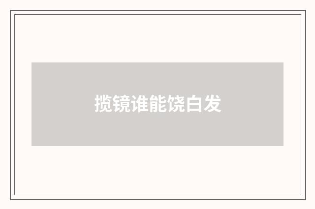 揽镜谁能饶白发