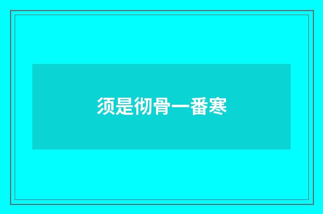 须是彻骨一番寒