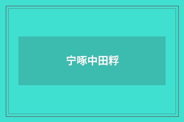 宁啄中田粰