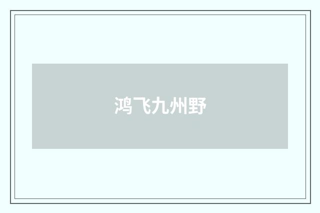 鸿飞九州野