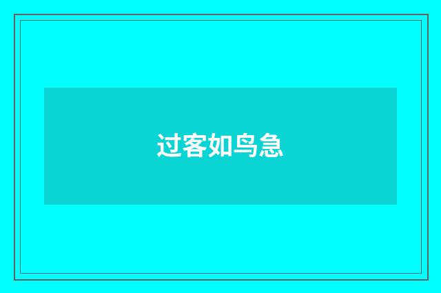 过客如鸟急