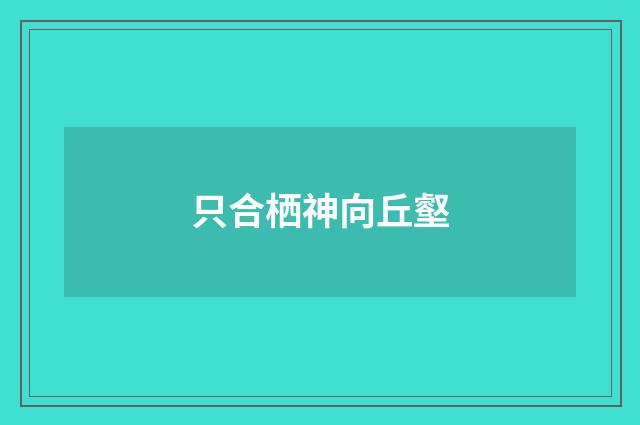 只合栖神向丘壑