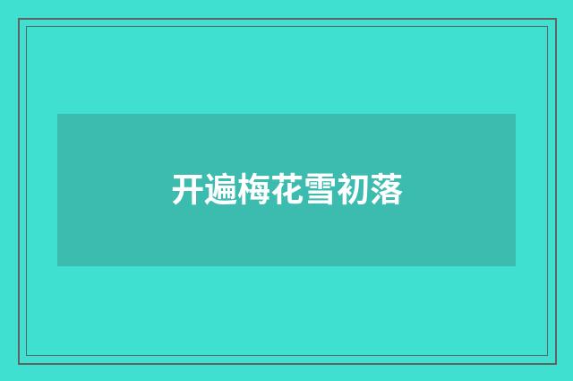 开遍梅花雪初落