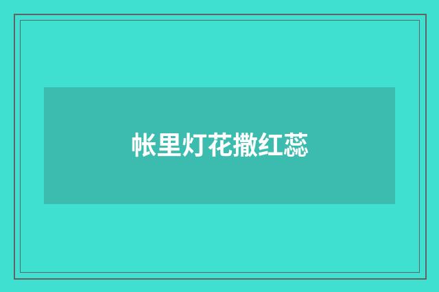 帐里灯花撒红蕊