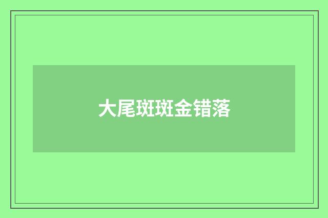 大尾斑斑金错落