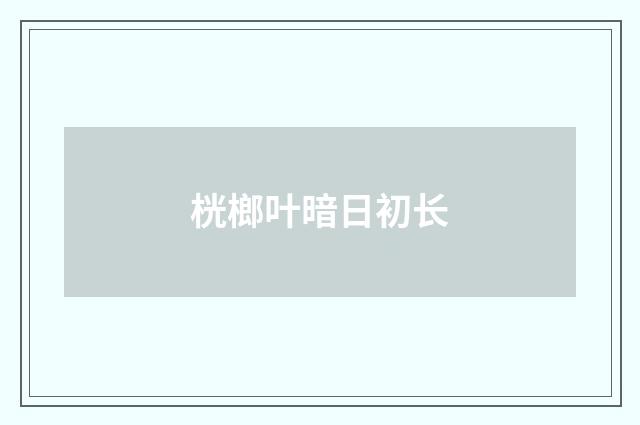 桄榔叶暗日初长
