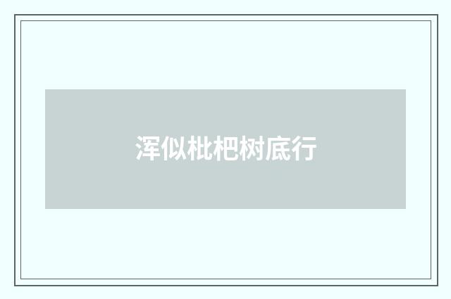 浑似枇杷树底行