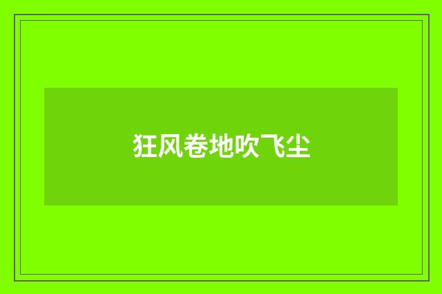 狂风卷地吹飞尘