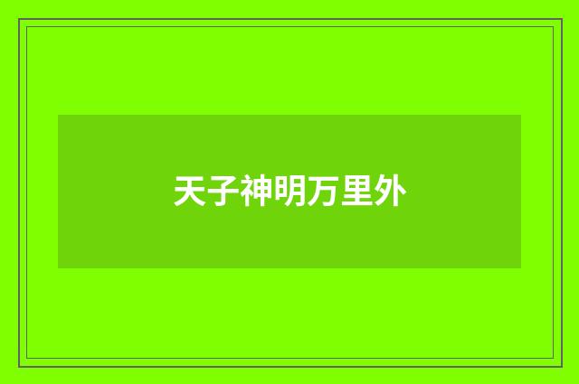 天子神明万里外