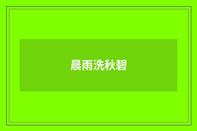 晨雨洗秋碧