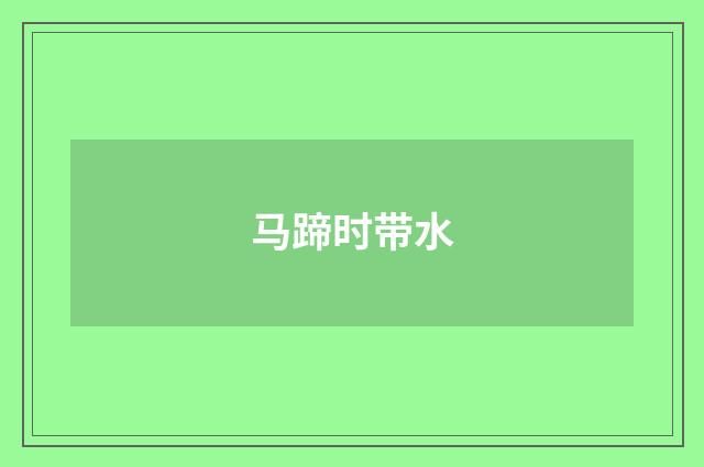 马蹄时带水
