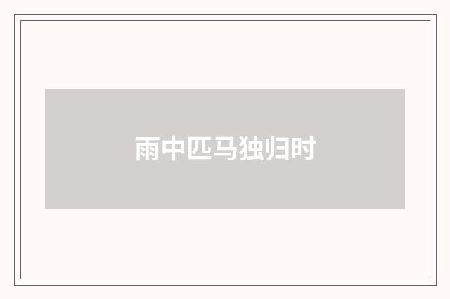 雨中匹马独归时