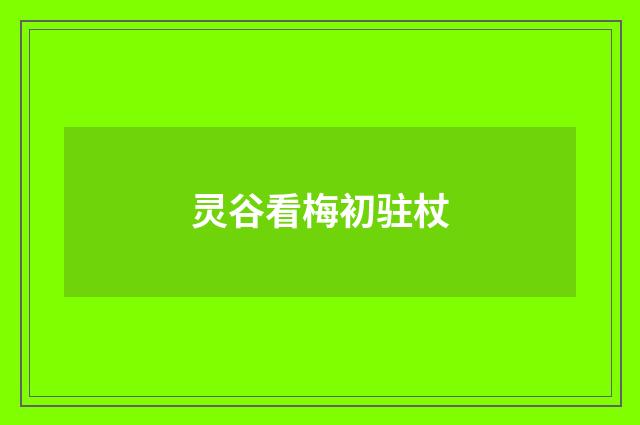 灵谷看梅初驻杖
