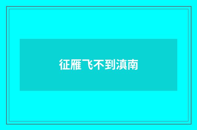 征雁飞不到滇南