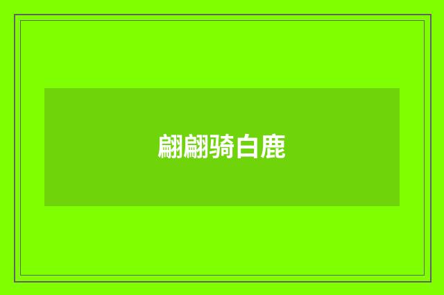 翩翩骑白鹿
