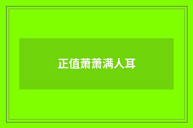 正值萧萧满人耳