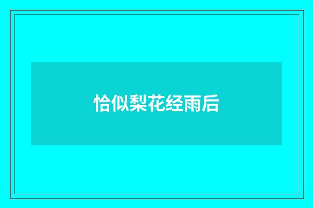 恰似梨花经雨后