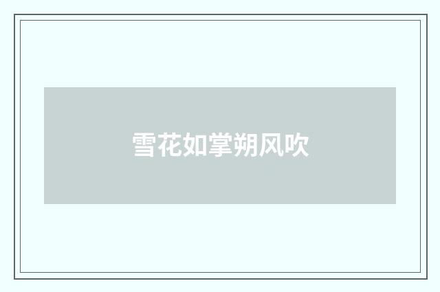 雪花如掌朔风吹