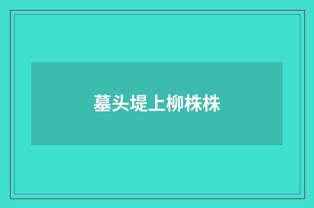 墓头堤上柳株株