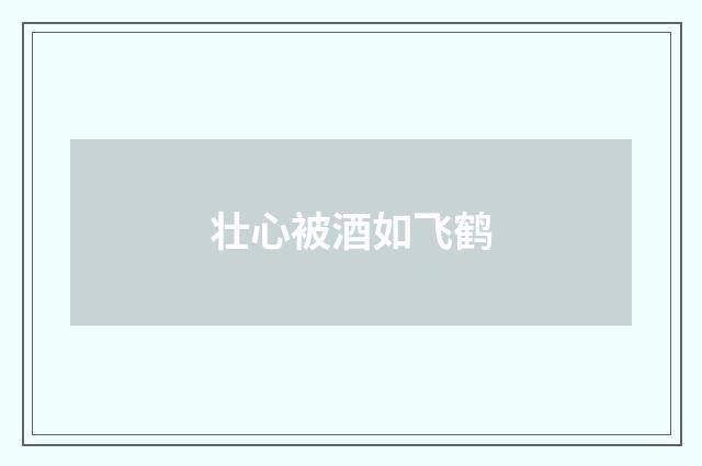 壮心被酒如飞鹤