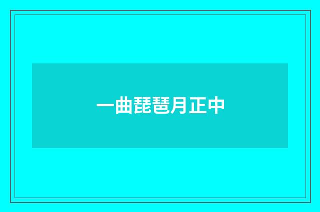 一曲琵琶月正中